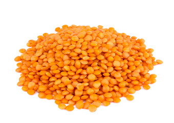 Lentil isolated on white background