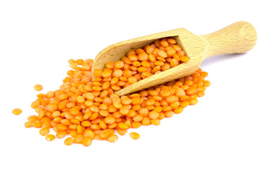 Lentil and scoop isolated on white background