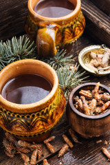 Tea with pine buds