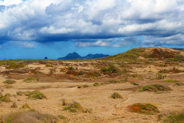 The petrified savannah in the south of Martinique in the Caribbean