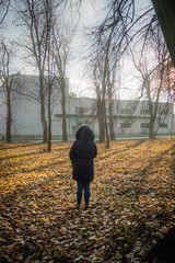 Fototapeta premium Girl at autumn in blue clothes exploring in the park