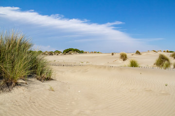 Espiguette Beach