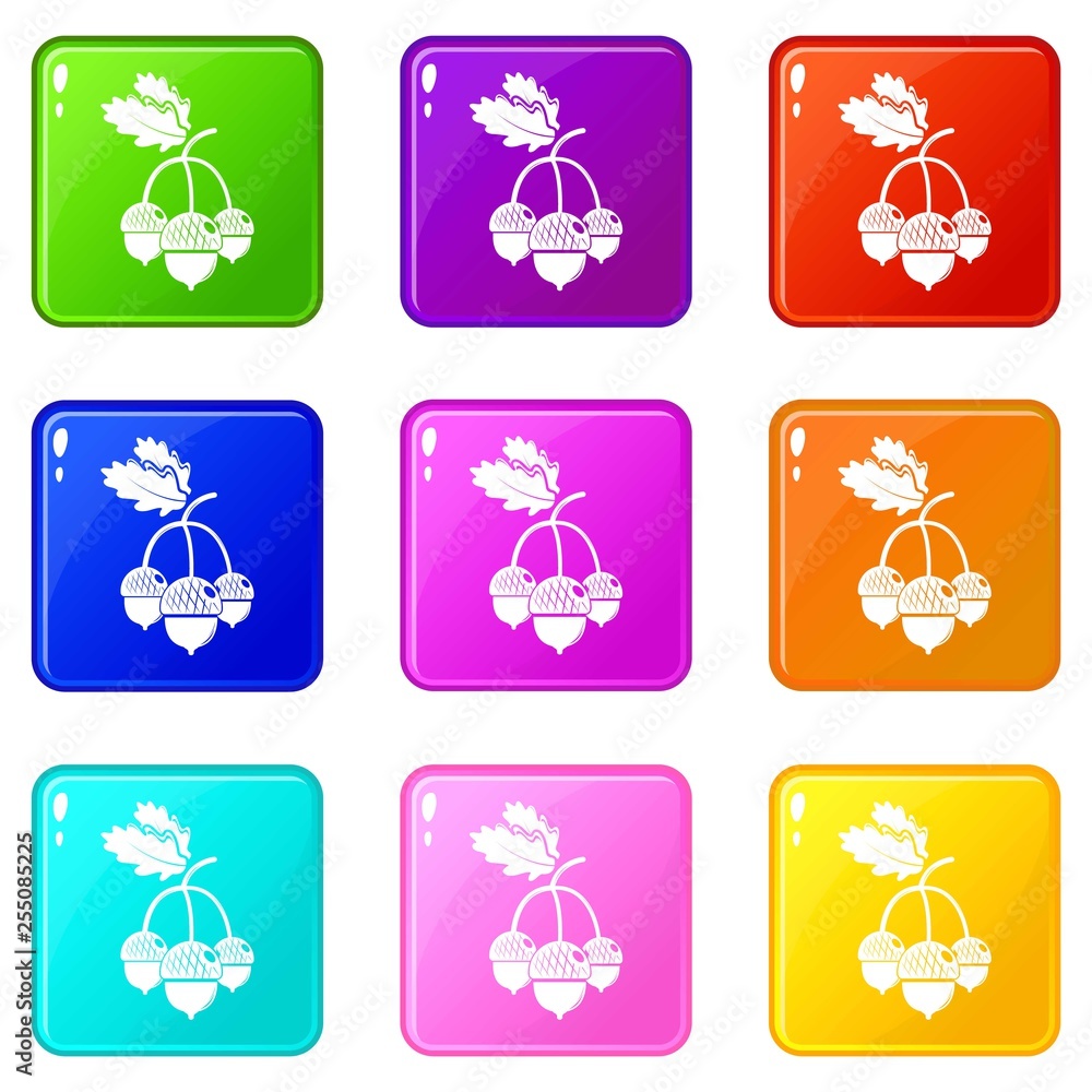 Poster acorn icons set 9 color collection isolated on white for any design