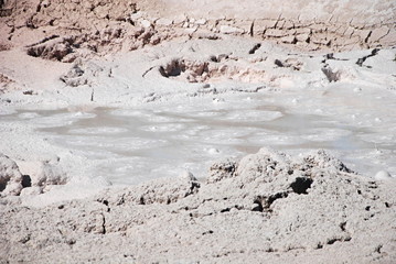 Fototapeta premium Yellowstone Nationalpark, Wyoming