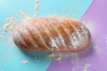 Loaf of tasty bread on color background