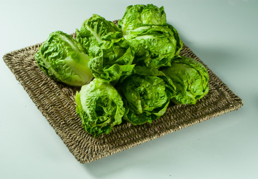 fresh vegetables, lettuce, cogollo