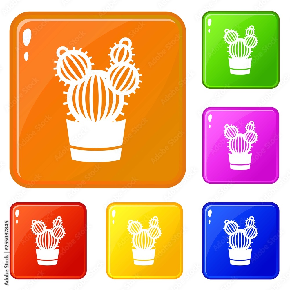 Poster round cactus icons set collection vector 6 color isolated on white background