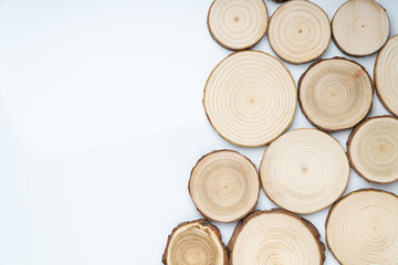 Pine tree cross-sections with annual rings on white background. Lumber piece close-up shot, top view.