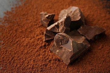 Pieces of tasty dark chocolate and powder on table