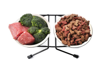Bowls with dry and fresh pet food on white background