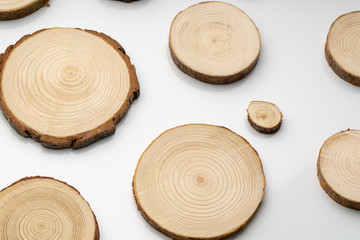 Pine tree cross-sections with annual rings on plane white surface. Lumber piece close-up shot.