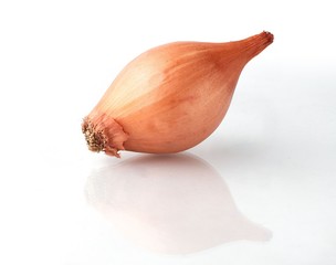 organic onion on white background
