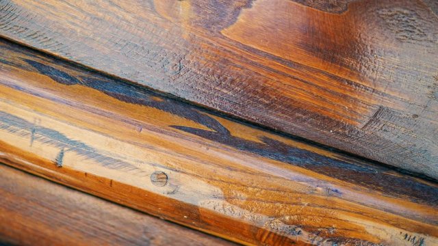 wooden texture background, tree texture