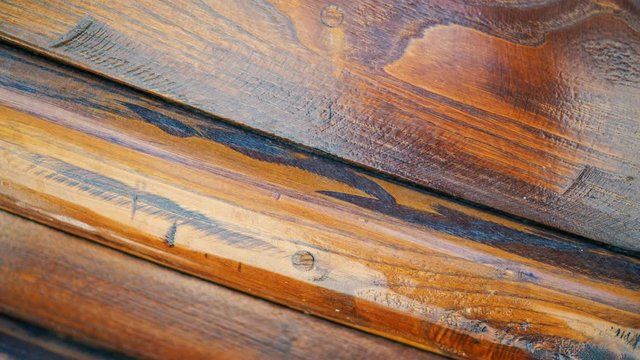 wooden texture background, tree texture