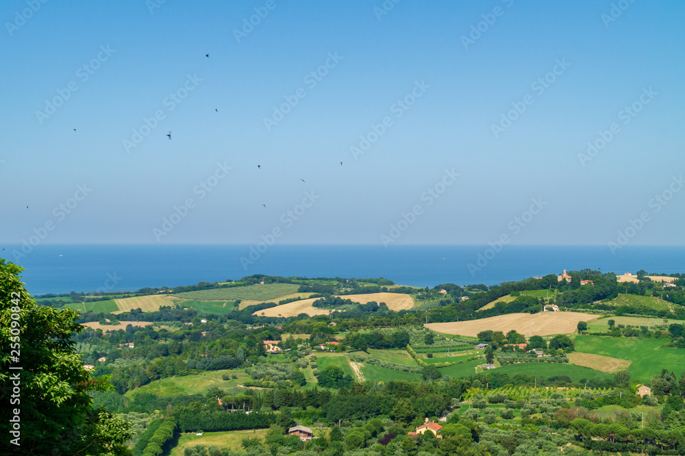 Wall mural vista dalle mura di cinta di novilara