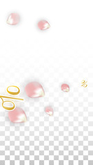 Vector Spring or Summer Sale Background with Petals and Percent for Template Design. Good for Special Hot Holiday Discount Offer, Black Friday, Fashion Promotion Action. Romantic Sakura Illustration