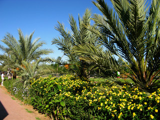 Casablanca, Morocco