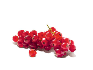 big branch of redcurrants and one single berry in the front