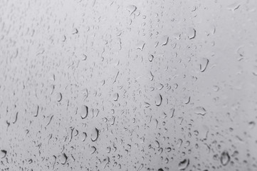 raindrops on the glass