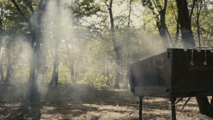 Amazing smoke from the bbq in the forest with sun lights and fog.