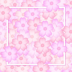 A frame in the cherry blossoms.  桜の花の中のフレーム