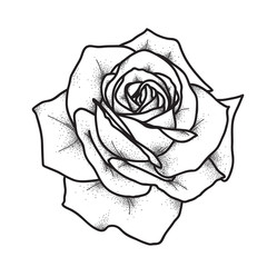 Rose Tattoo. Vector illustration art. Vintage engraving. Vintage style. Traditional art tattoos.