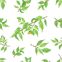 Botanical background, laurel, ficus, tea. Colorful seamless pattern. Design element for cover, invitation, booklet, printing. Green spring leaves.