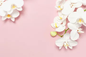 Poster Schöne weiße Phalaenopsis Orchideenblüten auf pastellrosa Hintergrund Draufsicht flach. Tropische Blume, Zweig der Orchidee hautnah. Rosa Orchideenhintergrund. Urlaub, Frauentag, Blumenkarte, Schönheit © olgaarkhipenko