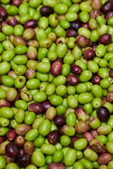 Olive fruit