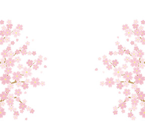 桜のある春の風景のイラスト(白背景)レクタングルバナーバージョン