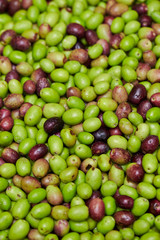 Olive fruit