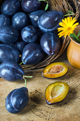 Ripe plums in a basket and yellow flower