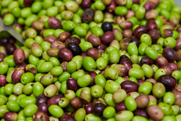 Olive fruit