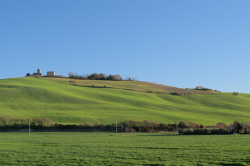 Obraz premium rural landscape with green field and blue sky,countryside,agriculture,spring,horizon,panorama,view,cereal,