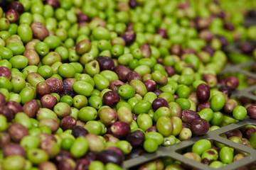 Olive fruit