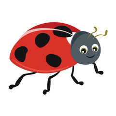 Fototapeta premium Ladybug isolated on white background. A cute, funny character in babies cartoon style. Vector illustration.