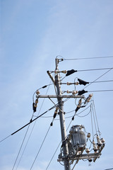 electric pole and wires