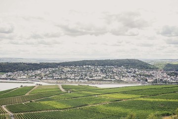 Weinberg Dorf Fluss