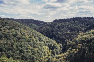 Fototapeta na wymiar Wald Himmel berg 
