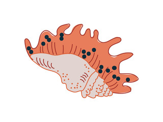 Tropical Shell, Marine Underwater Nature Aquatic Seashell Vector Illustration