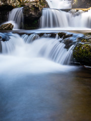 Obraz premium Pretty scene with waterfalls in the bush