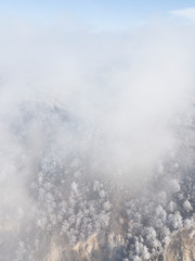 Aerial view of frost trees through the clouds, near Volga river, Samara, Russia.