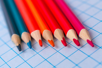 colored pencils bilateral in the set 