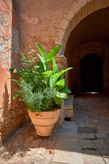 Arcadi monastery in Crete, gorgeous flower pot by traditional arched entrance