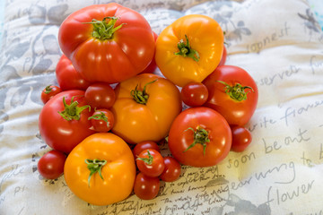tomatoes