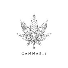 hand drawn cannabis logo designs