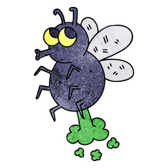 quirky hand drawn cartoon fly