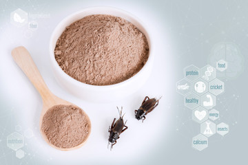 Cricket powder insect for eating as food items made of cooked insect meat in bowl on media icons nutrition background, it is good source of protein edible for future food and entomophagy concept.