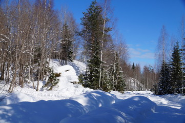 Bright Sunny spring day. The month of March. The snow hasn't melted yet. On the snow the shadow of...