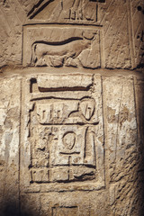 Karnak ancient carvings